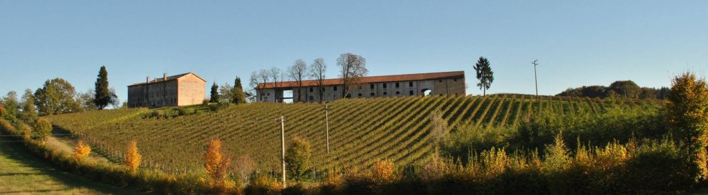 Avviso Asta Pubblica – Stipula contratto di affitto di un terreno vitato